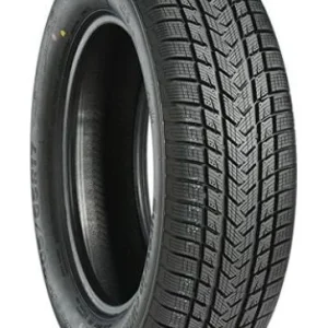 GRIPMAX SUREGRIP eWINTER 205/45R17 88V Calitate înaltă