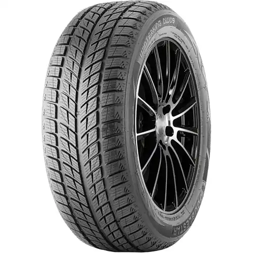 Anvelope Iarna DOUBLESTAR DW09 245/45 R18 96 T Expediere rapidă