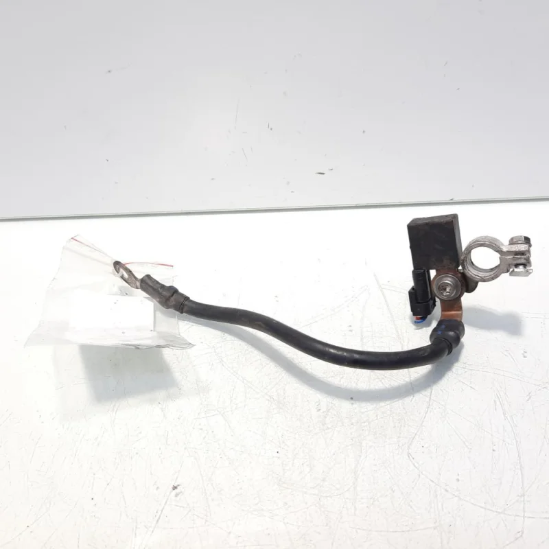 Ofertă Borna baterie (-) cu capsa, cod A1665420218, Mercedes Clasa C (W204) (idi:558621)