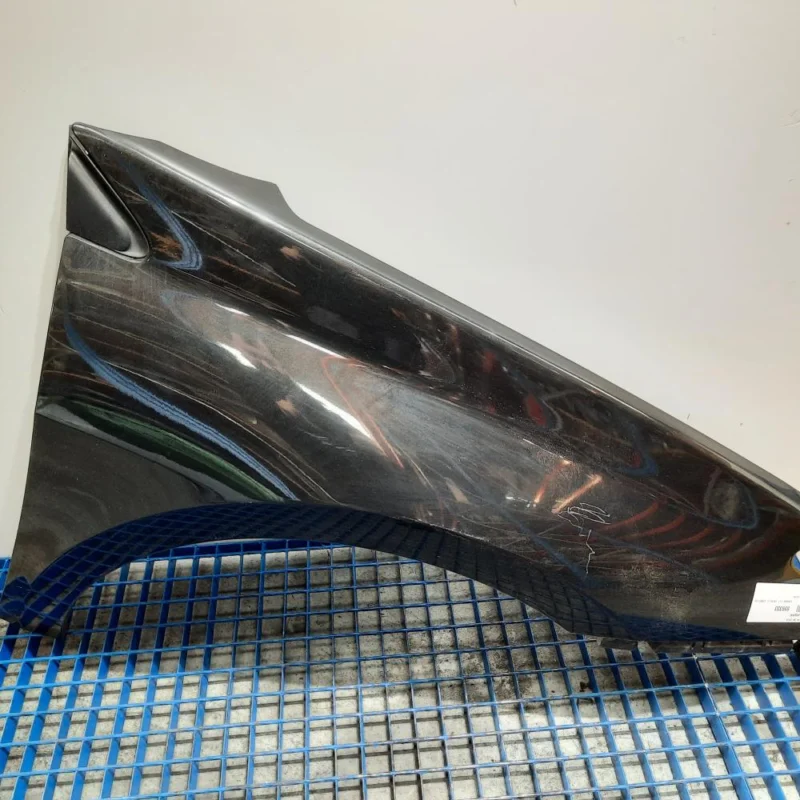 Vezi acum Aripa dreapta fata, Renault Laguna 3 (id:559333)