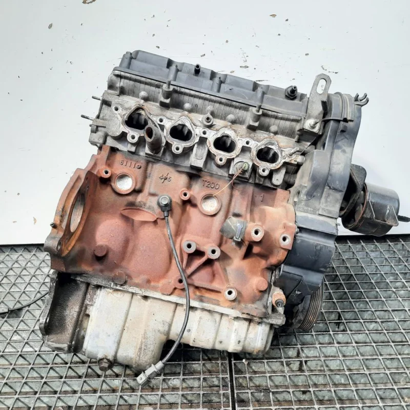 Motor, cod F14D3, Chevrolet Aveo sedan (T200,T250), 1.4 benz (pr:110747) Doar azi