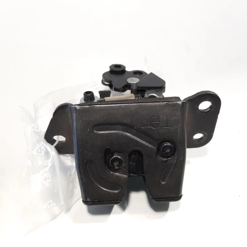 Disponibil imediat Broasca haion, Hyundai Getz (TB) (id:537747)