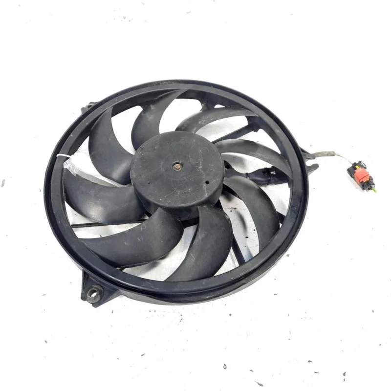 Plată sigură Electroventilator, Peugeot 206 Van, 1.4 HDI, 8HZ (idi:529421)