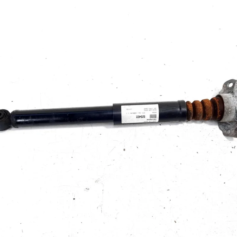 Amortizor spate, Skoda Yeti (5L) (id:525422) Super ofertă