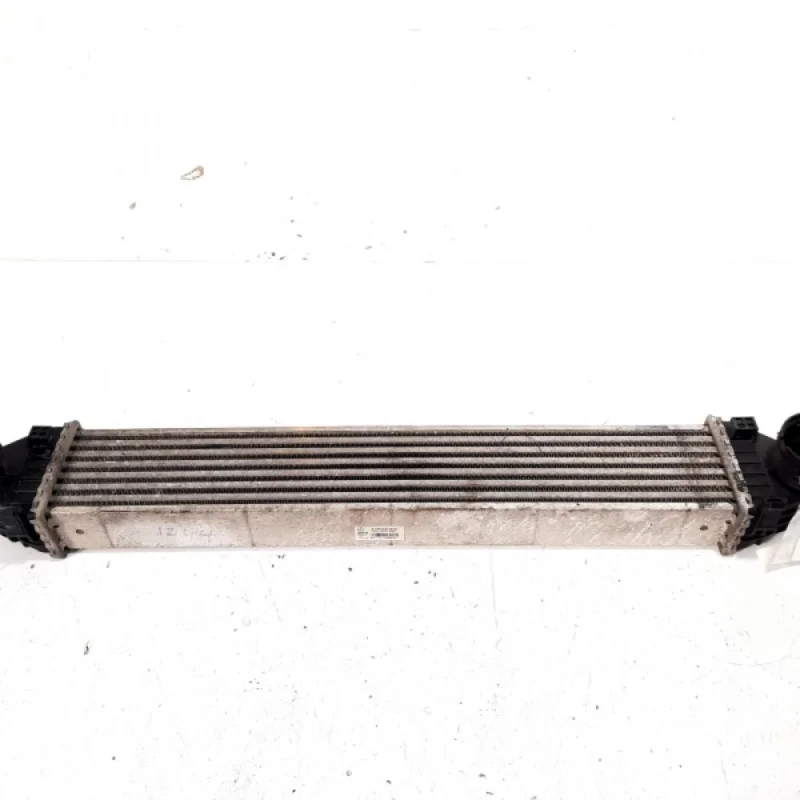 Super ofertă Radiator intercooler, cod A1695000900, Mercedes Clasa B (W245) 2.0 CDI, OM640940 (idi:515367)