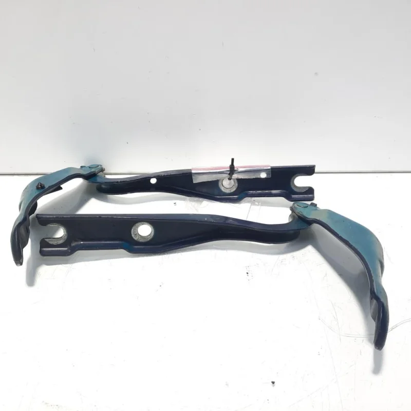 Bestseller Set balamale capota fata, Skoda Rapid (NH3) (id:506011)