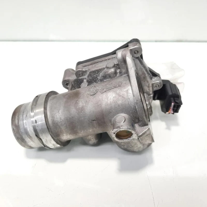 Reducere de preț Clapeta acceleratie, cod 161A09794R, Renault, 1.5 DCI, K9K832 (idi:484113)