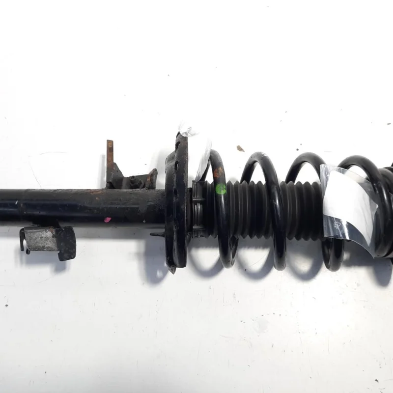 Mai ieftin Amortizor stanga fata, Ford S-Max 1, 2.0 TDCI (id:436202)