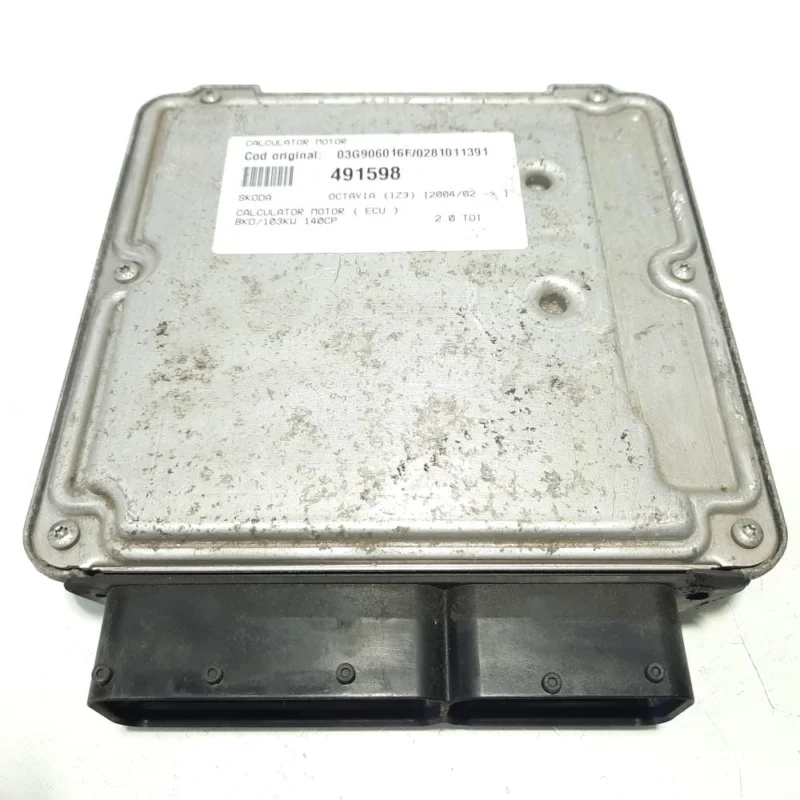 Calculator motor, cod 03G906016F, 0281011391, VW Golf 5 (1K1), 2.0 TDI, BKD (idi:491598) Preferatul clienților