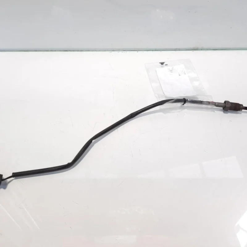 Sonda temperatura gaze, cod 7805606, Bmw X6 (F16, F86), 3.0 diesel, N57D30A (idi:481981) Chilipir