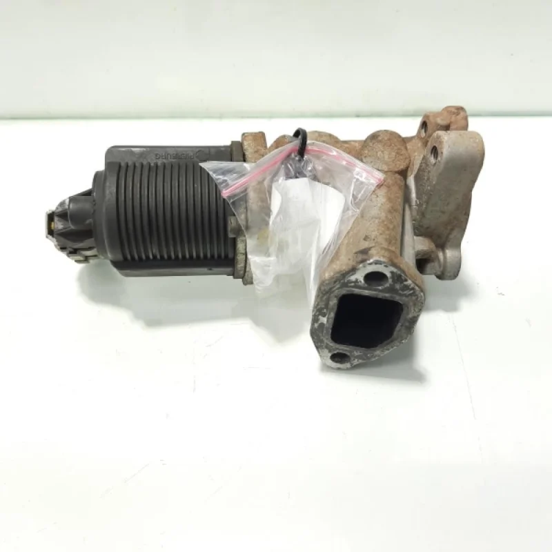Ofertă de sezon EGR, cod GM55201144, Fiat Doblo (119), 1.3 JTD, 199A2000 (idi:482295)