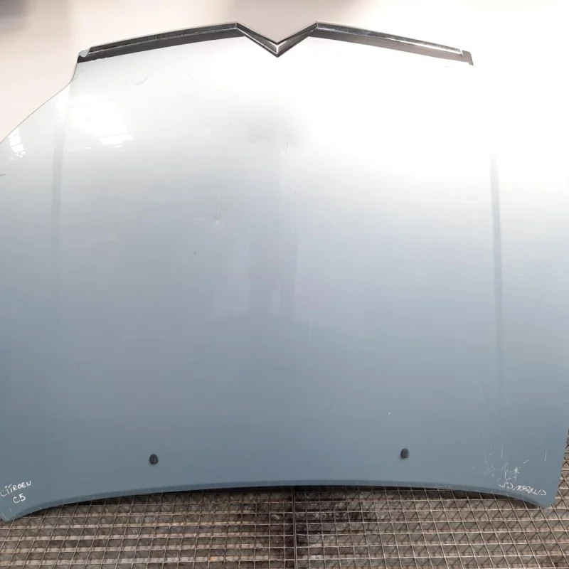 Cumpără acum Capota fata, Citroen C5 (II) (id:480107)