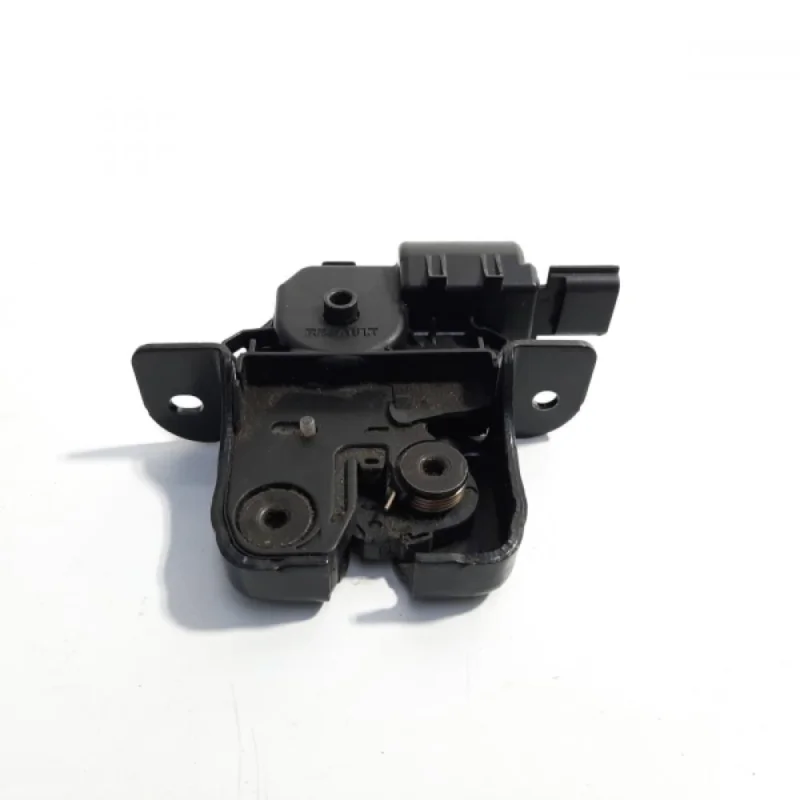 Broasca haion, cod 84630000R, Renault Scenic 3, id:441362 Cumpără online