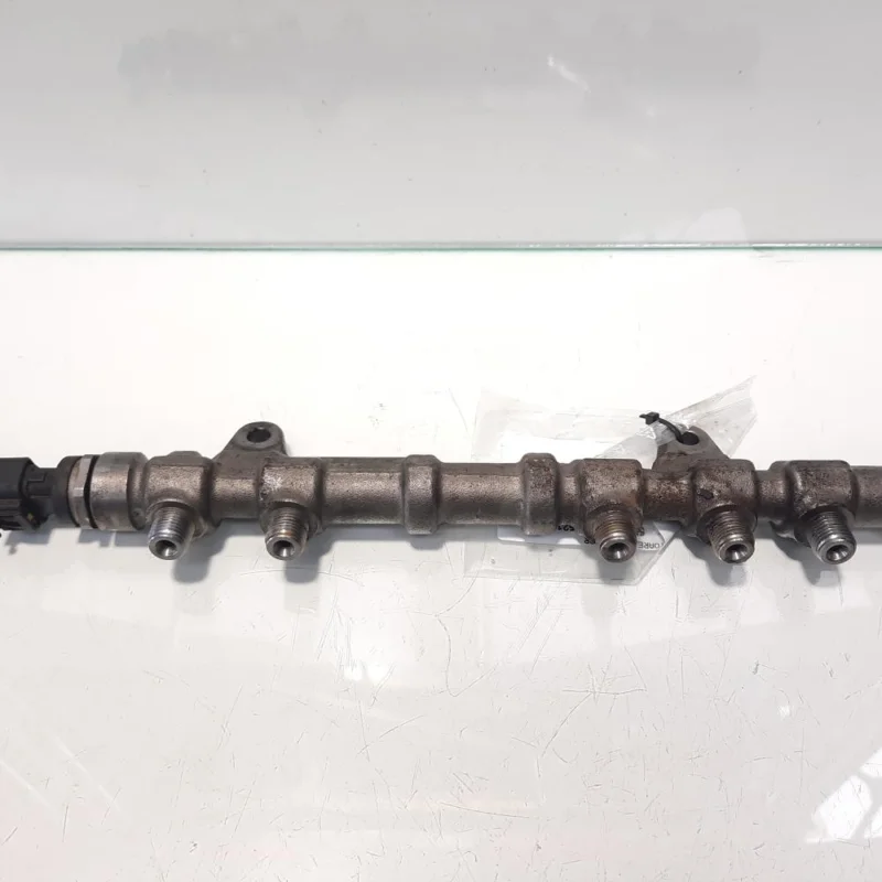 Comandă acum Rampa injectoare cu senzor, cod 55234437, 0445214217, Fiat Doblo Cargo (263), 1.3 D-Multiijet, 199A3000 (idi:457297)