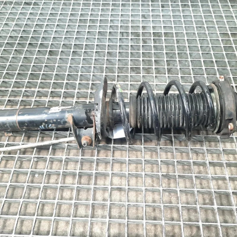 Nu rata Amortizor fata, VW Golf 5 Plus (5M1) 1.6 fsi, BLF (id:465235)