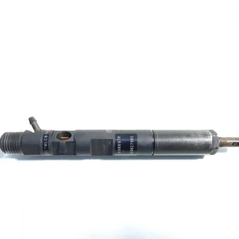 Lichidare de stoc Injector, cod 166000897R, H8200827965, Renault Clio 3, 1.5 dci, K9K770 (id:442451)