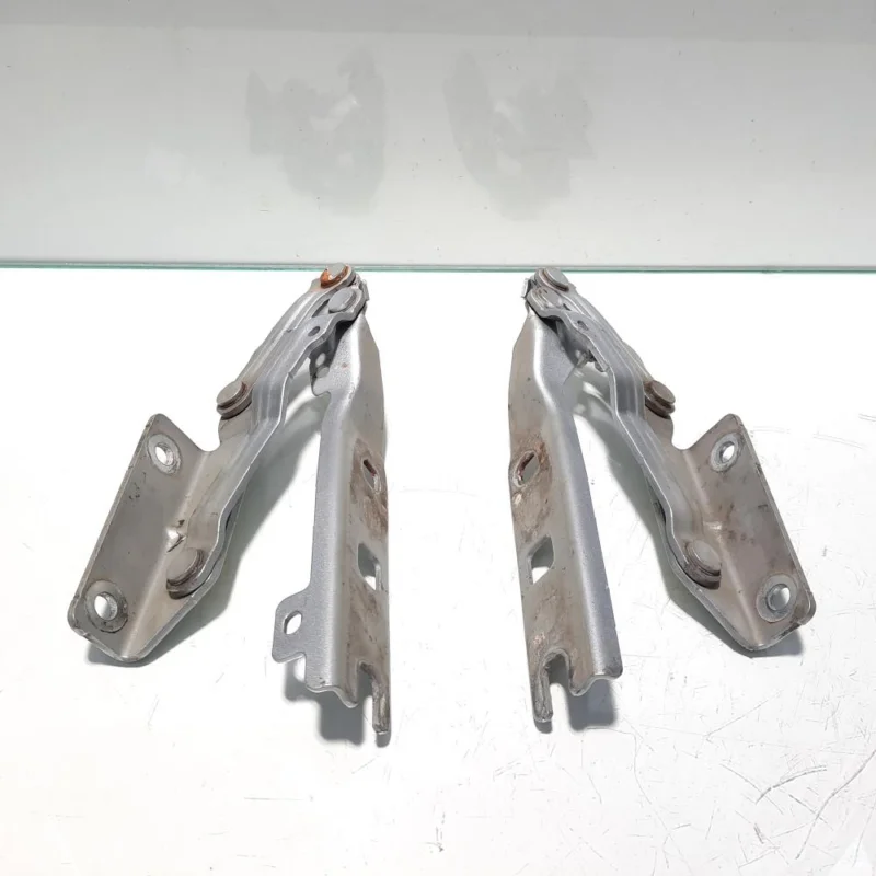 Set balamale capota fata, Vw Golf 5 (1K1) (id:456350) Noutate