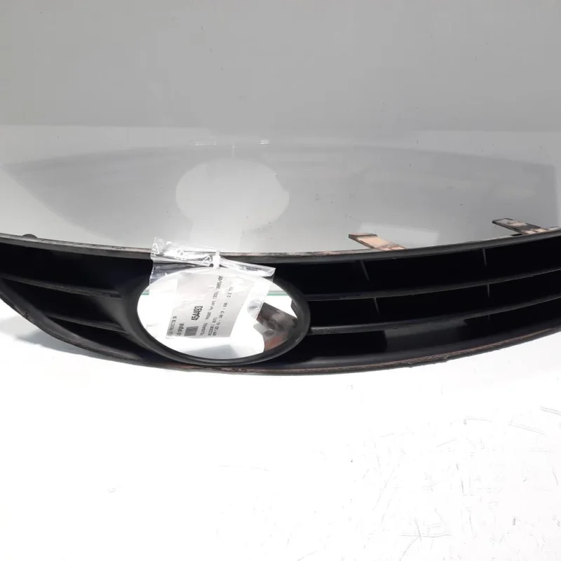 Reduceri Grila proiector dreapta, Vw Passat Variant (3C5) (id:454493)