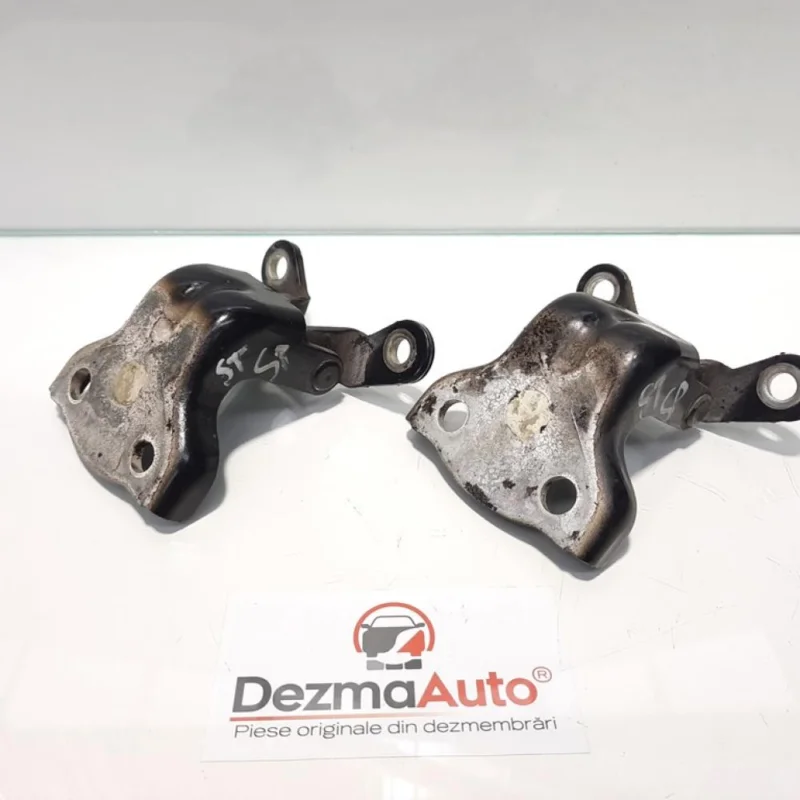 Set balamale stanga spate, Opel Antara [Fabr 2006-2017] (id:432993) Discount