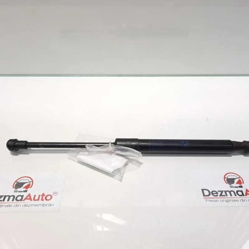 Telescop capota spate, Bmw 5 (E60) [Fabr 2004-2010] 5123-7008745 (id:433147) Cumpără online