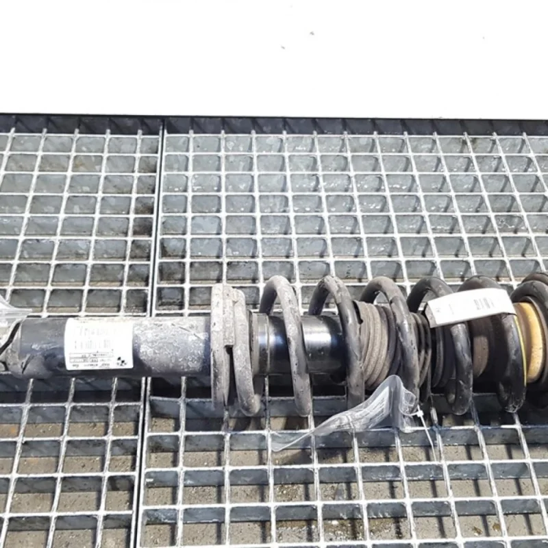 Mai ieftin Amortizor dreapta spate, Bmw X4 (F26) 2.0 d, 3352-6796317 (id:399497)