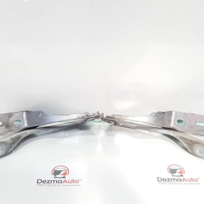 Doar azi Set balamale capota fata, Peugeot 307, cod 9680749180 (id:362476)