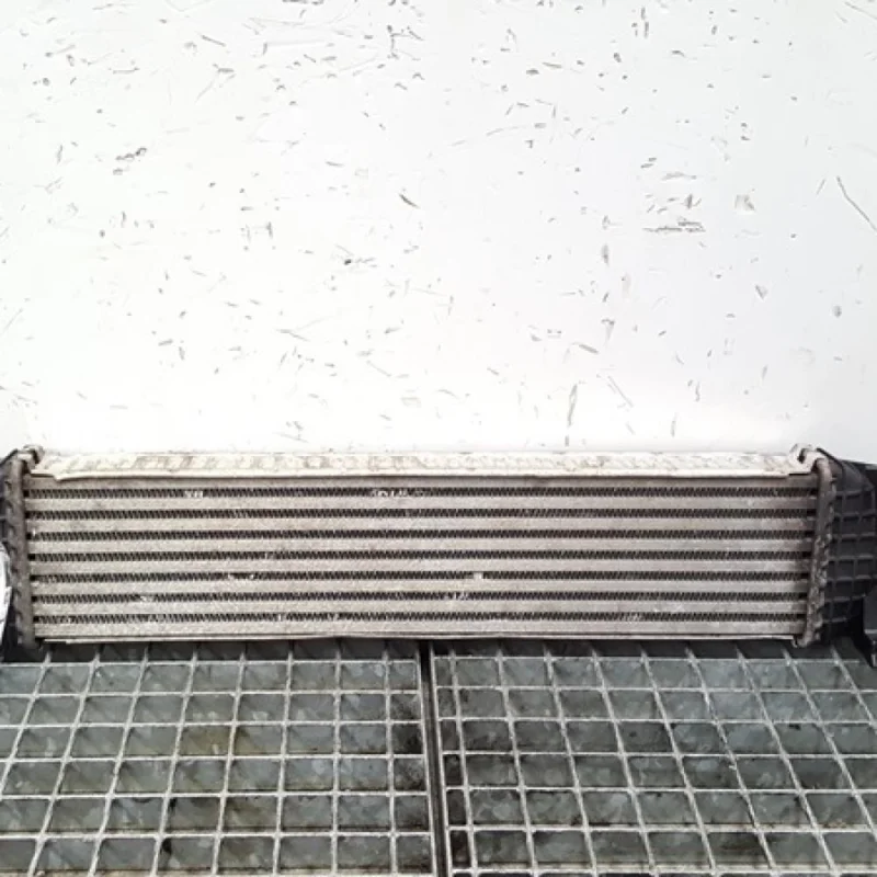 Preferatul clienților Radiator intercooler, Ford Focus 2, 1.6 tdci G8DA, 3M5H-9L440-AE