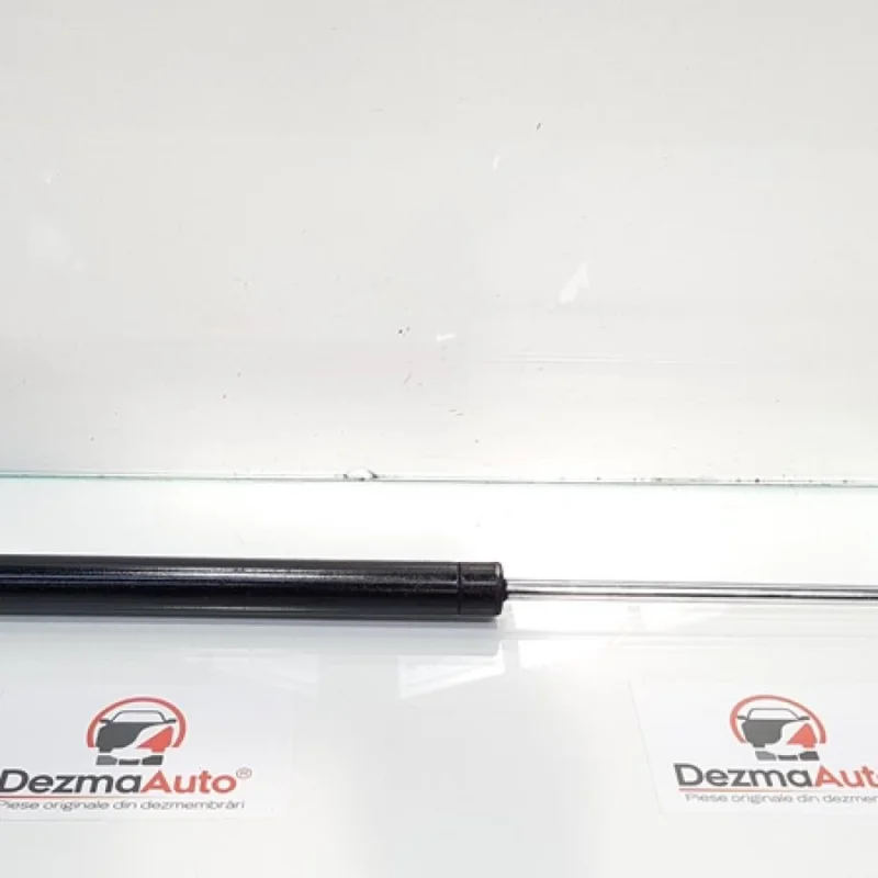 Comandă acum Telescop haion, Renault Laguna 2 combi, cod 8200025317 (id:268530)