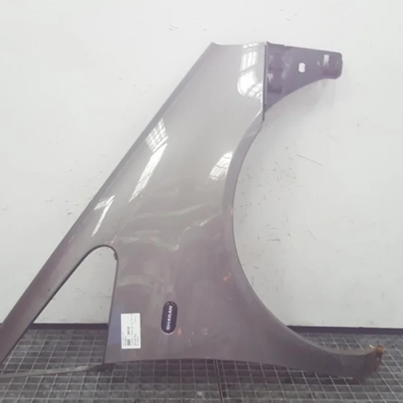 Cumpără acum Aripa dreapta fata, Seat Alhambra (7V8, 7V9)