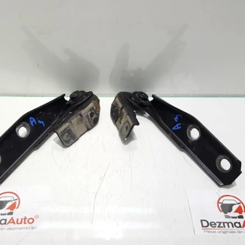 Reducere de preț Set balamale capota fata, Audi A3 cabriolet (8P7) din dezmembrari