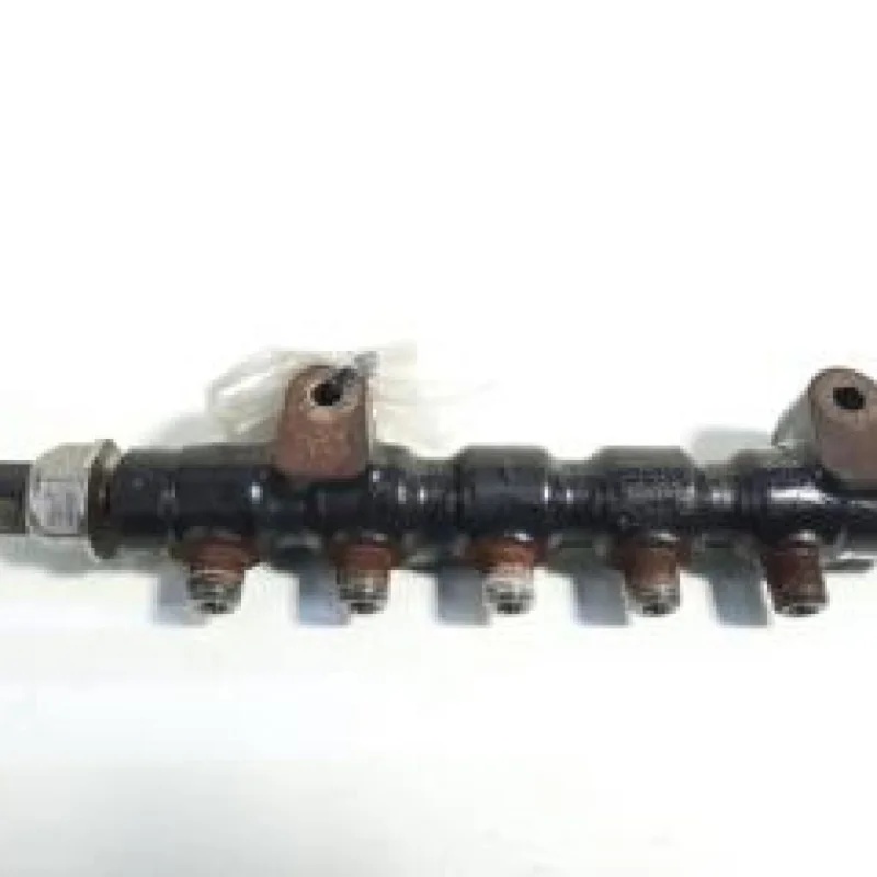 Rampa injectoare 9654592680, Citroen C3 (ll) 1.6hdi Preferatul clienților