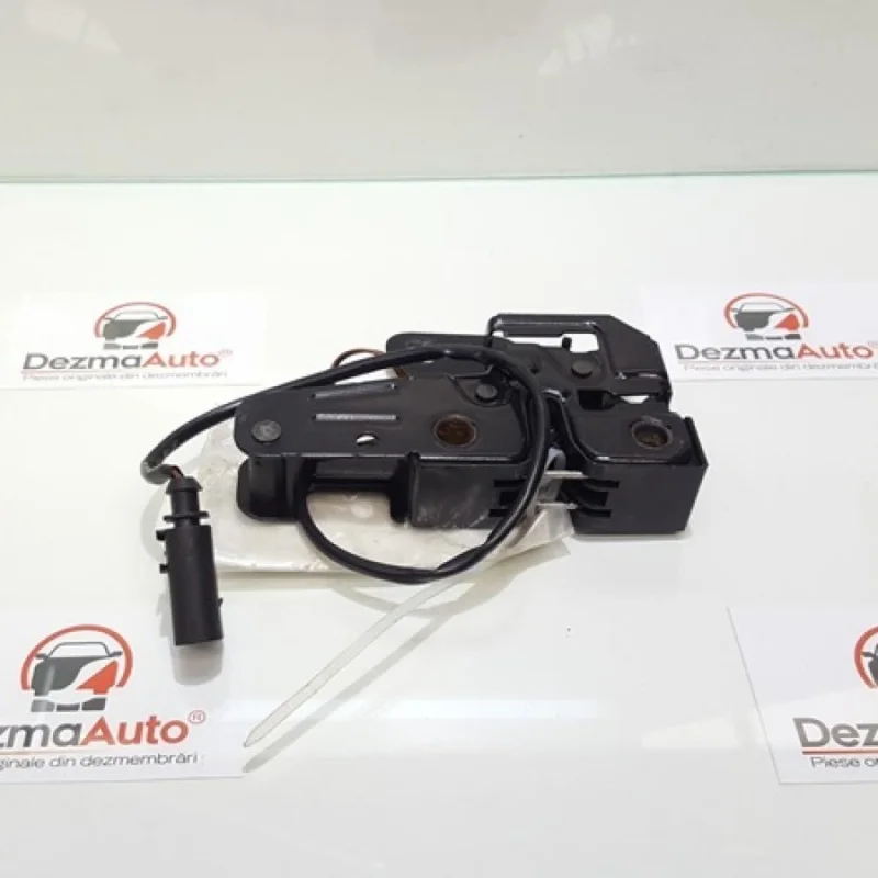 Retur ușor Broasca capota fata, Audi A6 (4F2, C6) (id:16267)